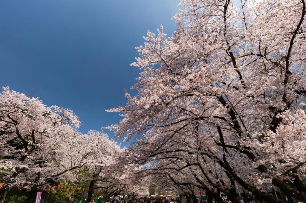 Hotel Bougainvillea Minowa Tokyo Eksteriør bilde